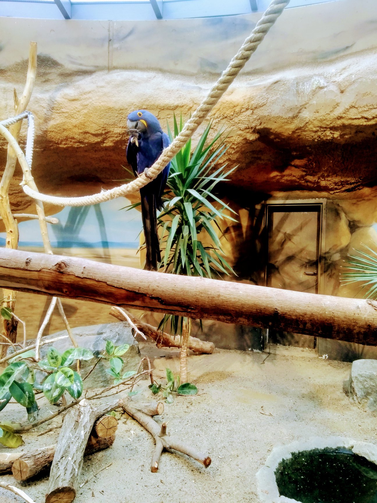 Sint-Martinus den XIIde - Winterkamp VK Berlijn